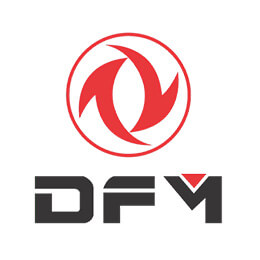 DFM